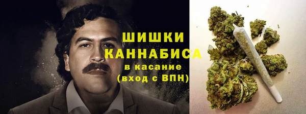 трава Сосновоборск