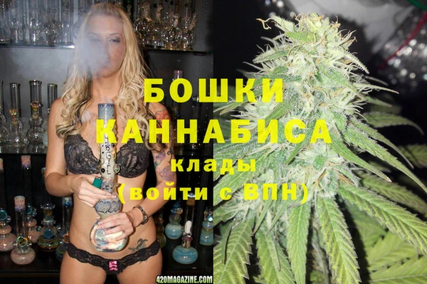 амф Сосновый Бор