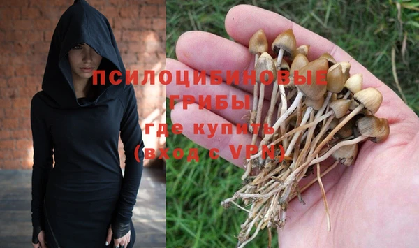 спайс Баксан